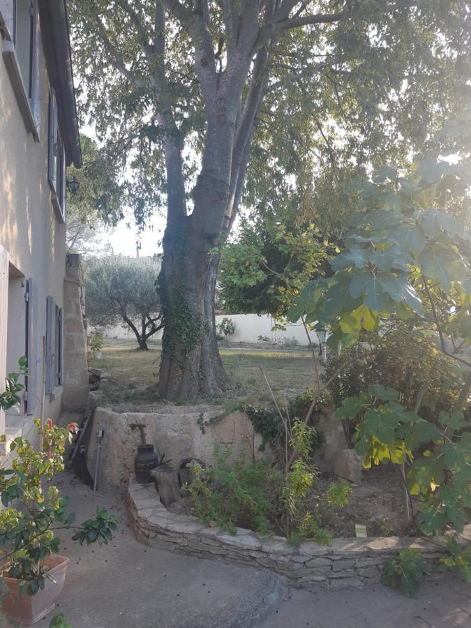 La Cartagene - Chambre Double Calvisson Exteriér fotografie